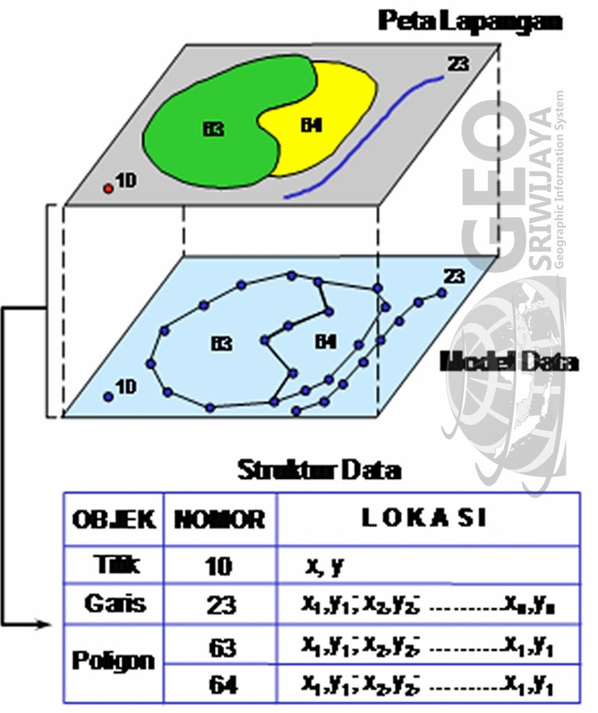 Perbedaan Data Grafis Dan Data Tabular PT Geosriwijaya Nusantara