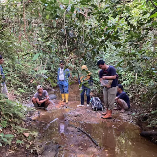 Hydrogeological Study