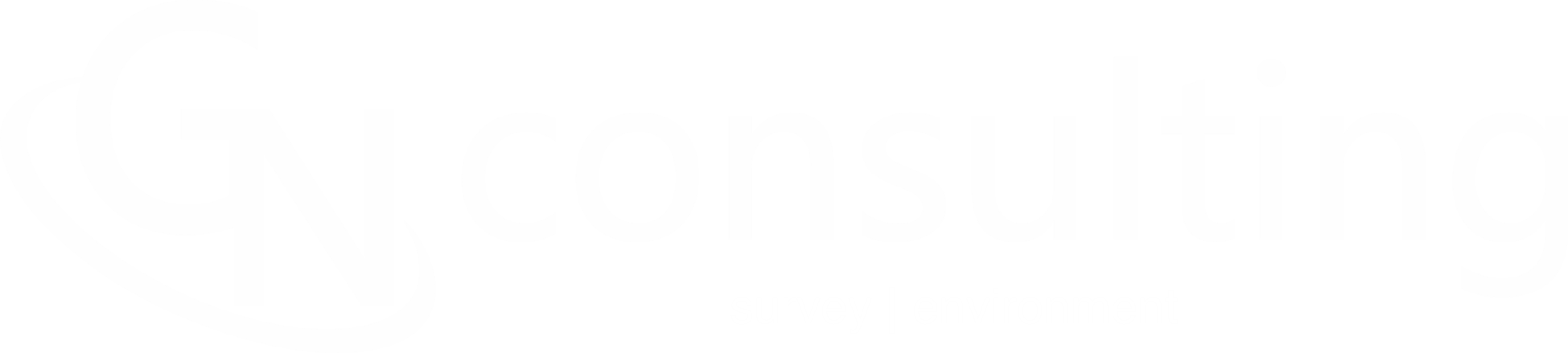 GN Consulting
